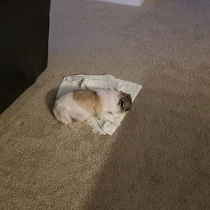 Meet your Posher, Javier